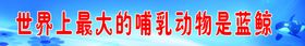 小学标语
