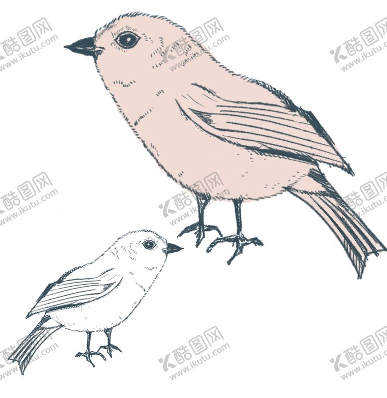 编号：39071809152336230586【酷图网】源文件下载-可爱小鸟插画手绘鸟钢笔画矢量绿叶卡通花草