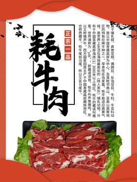 耗牛肉