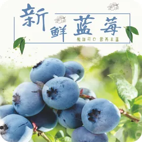 新鲜蓝莓