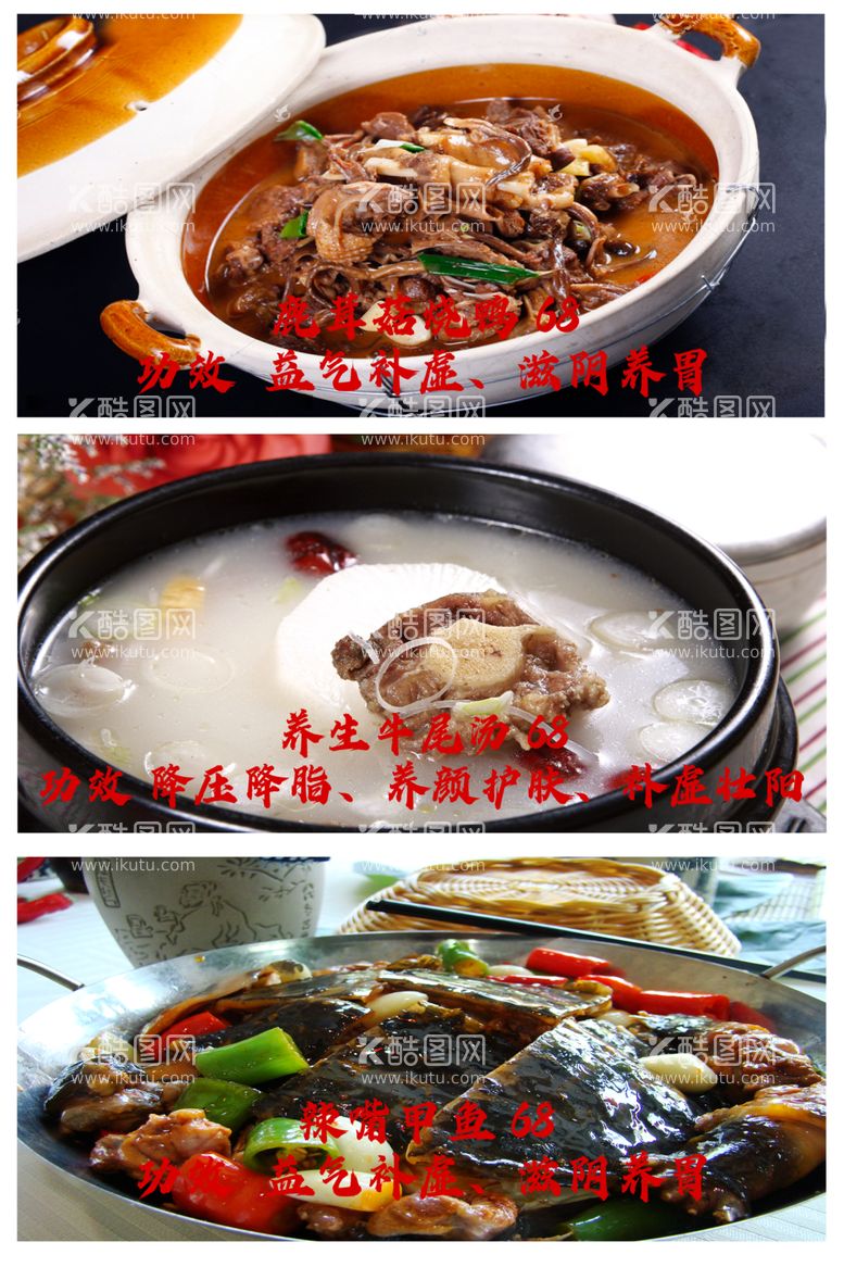 编号：92305512082006034903【酷图网】源文件下载-美食