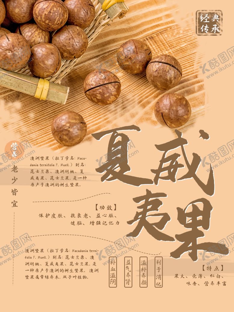 编号：73861910100246399703【酷图网】源文件下载-夏威夷果