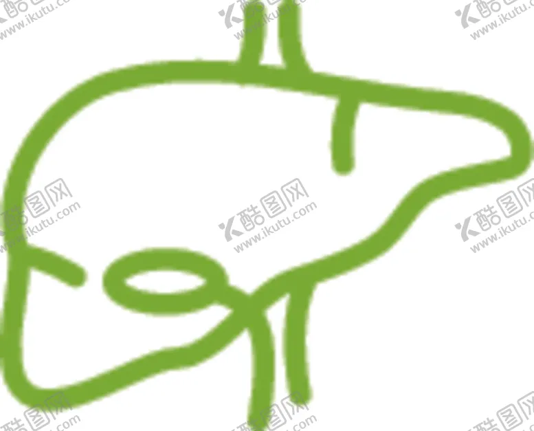 编号：79037506161631167304【酷图网】源文件下载-肝脏