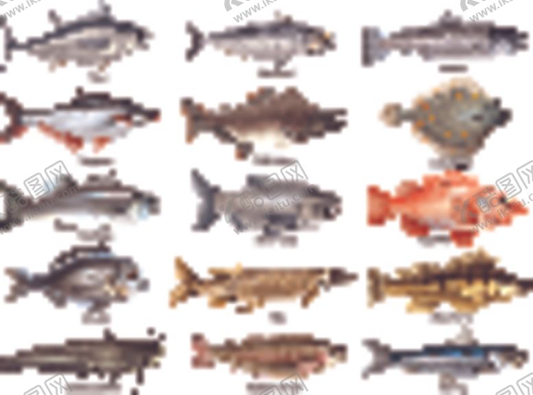 编号：96780510070448161617【酷图网】源文件下载-鱼矢量插画