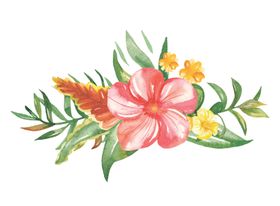 水彩植物花朵图案