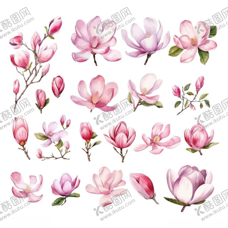 编号：17140911171901325891【酷图网】源文件下载-水彩粉色玉兰花插画素材