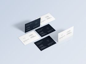 VI贴图智能模板样机图片