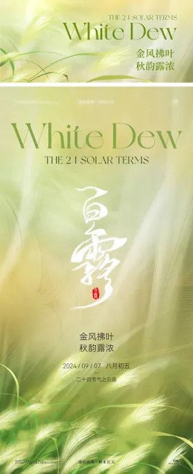 白露海报