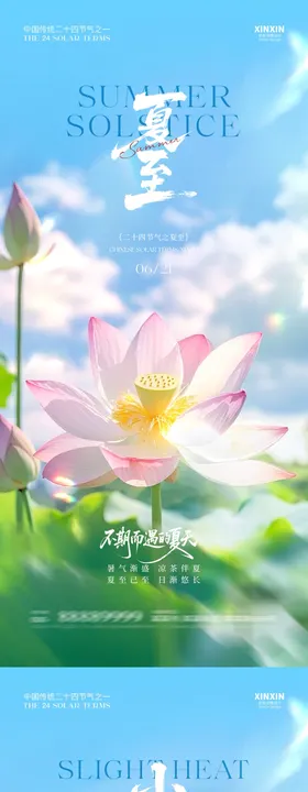 地产夏至小暑荷花中式插画海报