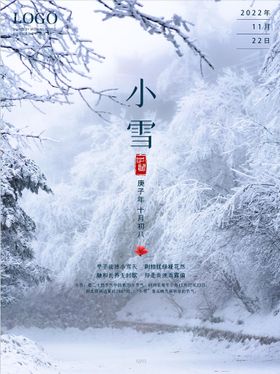 小雪海报