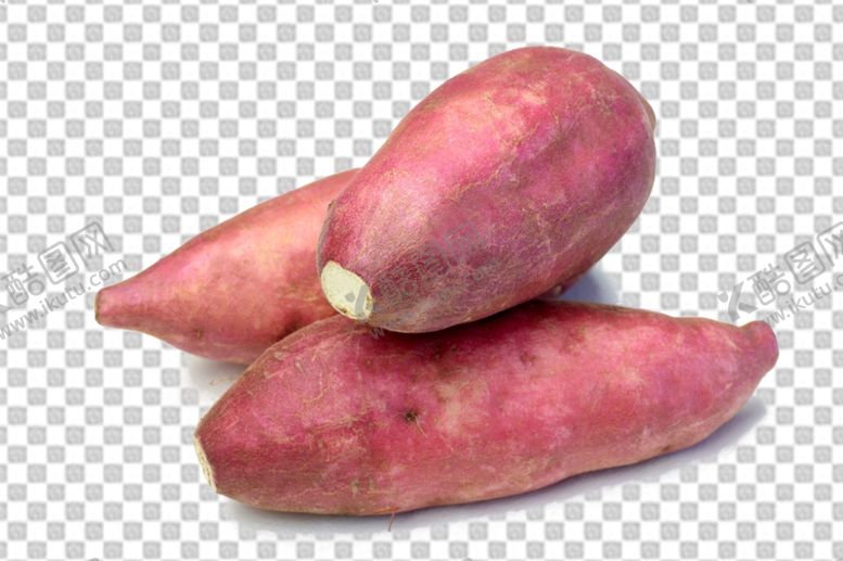 编号：63192910070601054804【酷图网】源文件下载-红薯