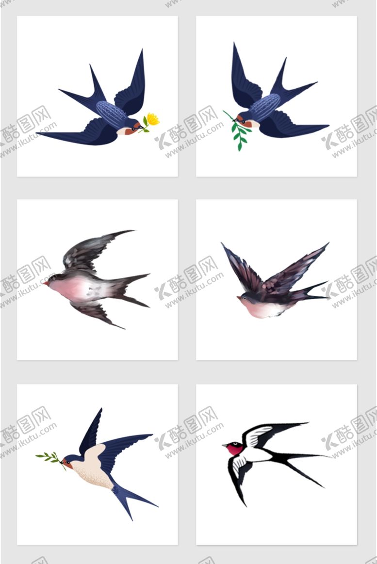 编号：79054510111307495477【酷图网】源文件下载-燕子小燕子素材春天燕子雨燕