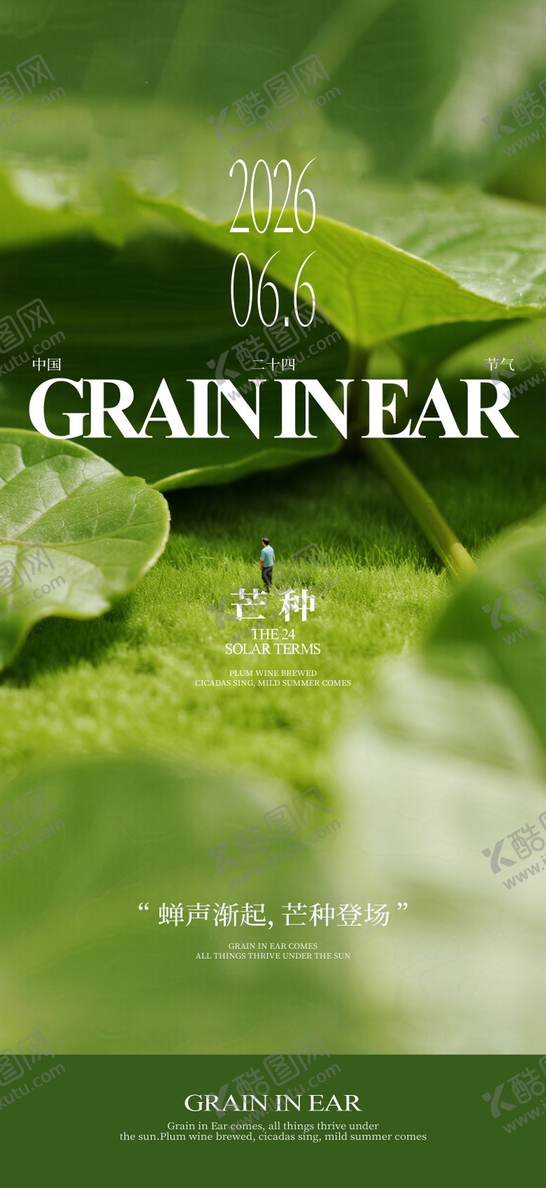 编号：67493005312342407363【酷图网】源文件下载-芒种节气海报