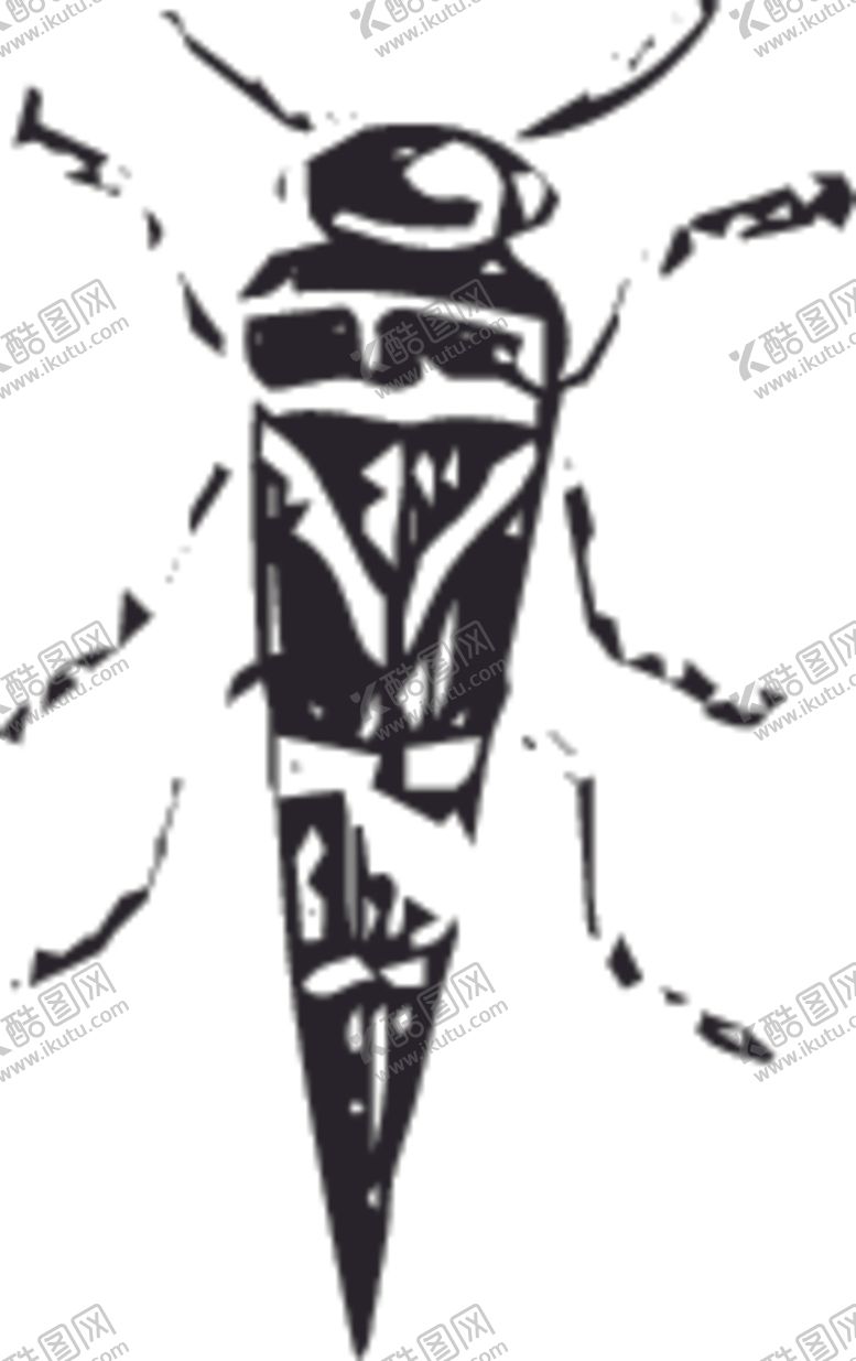 编号：65346810240635412314【酷图网】源文件下载-自然昆虫标本插画