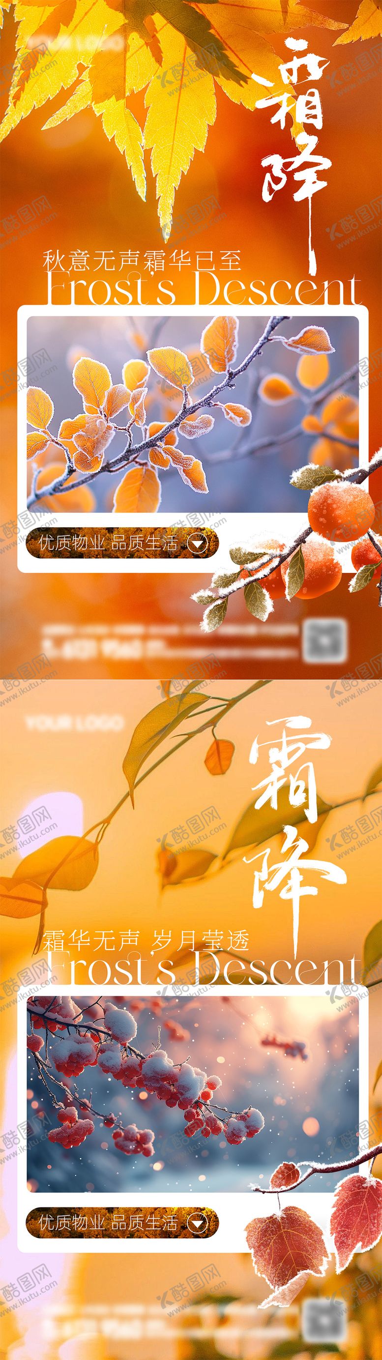 编号：11601712041548074515【酷图网】源文件下载-霜降节气系列海报