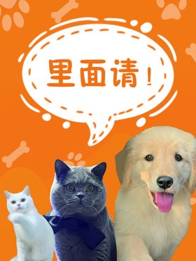 狗猫咪迎宾