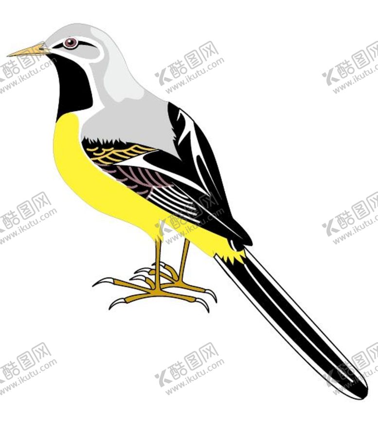 编号：74035601262334252078【酷图网】源文件下载-鸟类
