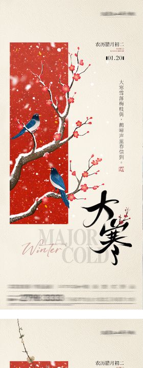 地产大寒小寒国风系海报
