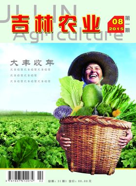 大丰收宣传海报报刊封面