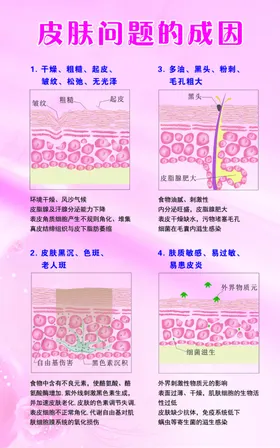 皮肤问题成因图解分析图