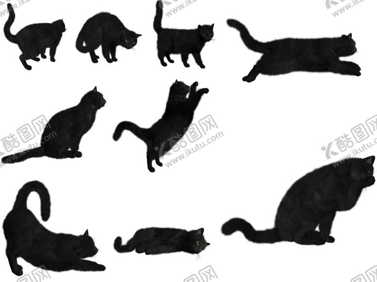 编号：22312510121859094690【酷图网】源文件下载-猫png免扣高清素材