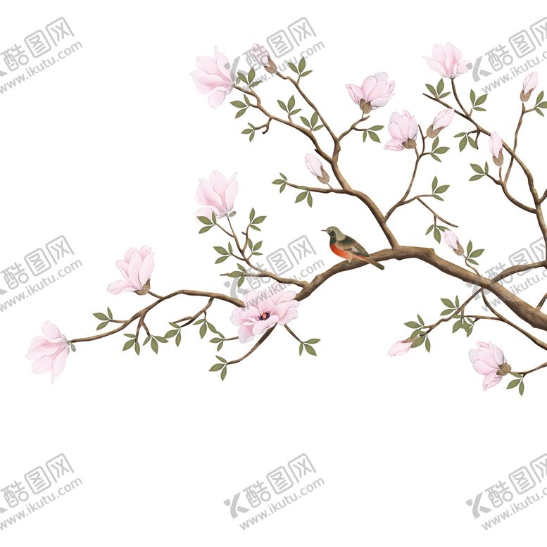 编号：48207510070550281543【酷图网】源文件下载-玉兰花鸟