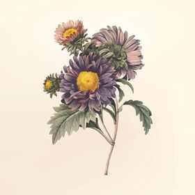 花纹