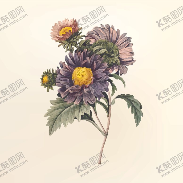 编号：29209206301309084924【酷图网】源文件下载-花纹