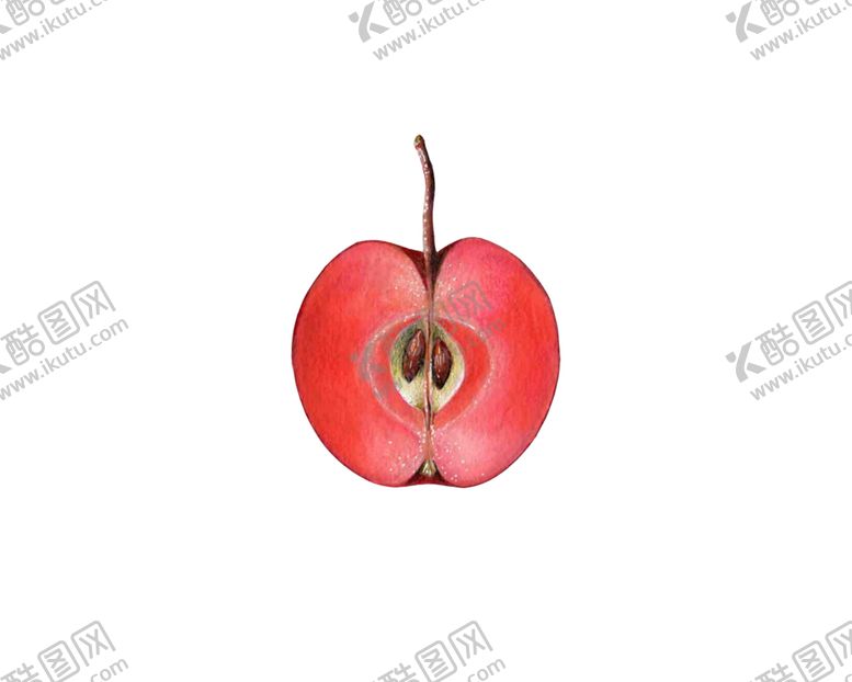 编号：40030609250707503844【酷图网】源文件下载-樱桃