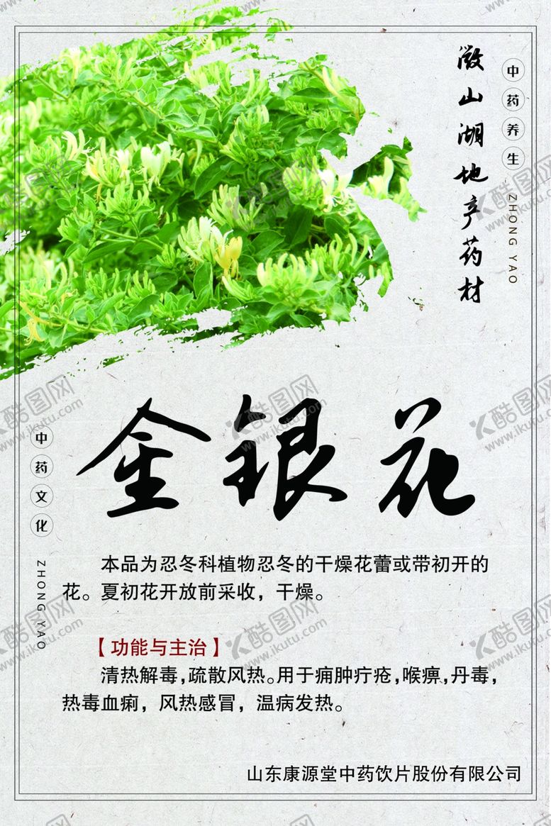 微山湖地产药材金银花养生展板中