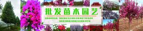 花圃苗木种植基地
