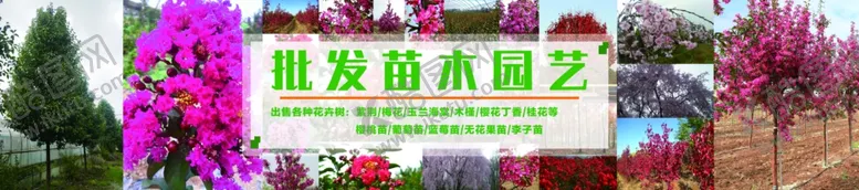 编号：91724005100823177475【酷图网】源文件下载-花圃苗木种植基地
