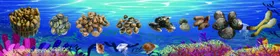 海鲜海报