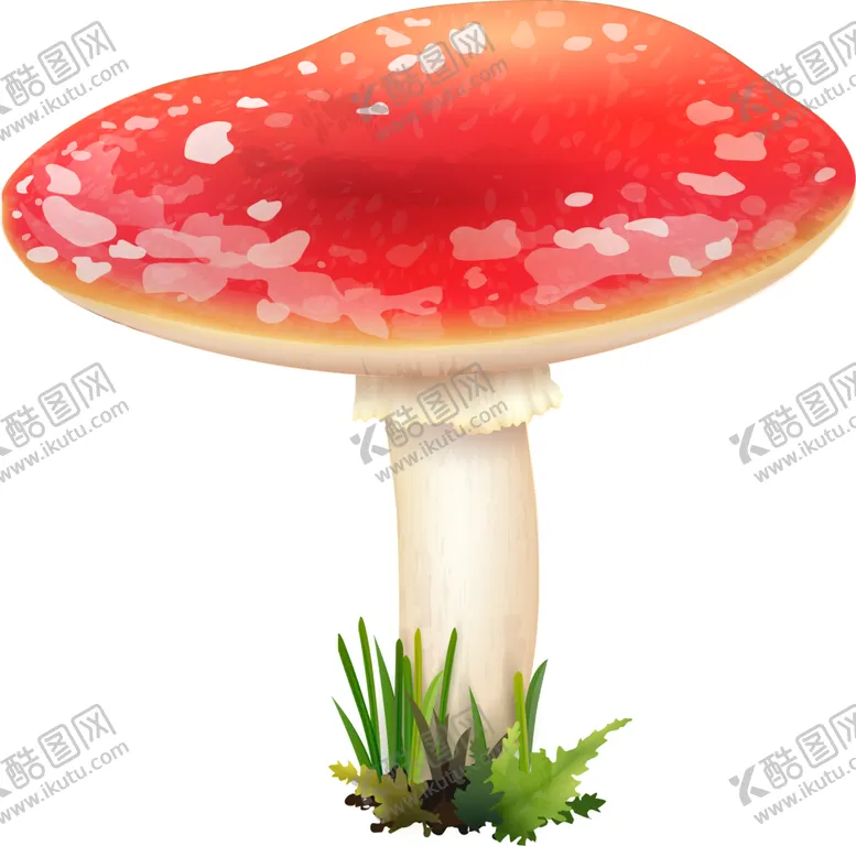 编号：33545702081944168339【酷图网】源文件下载-菌类植物