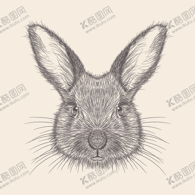 编号：55279306162308589639【酷图网】源文件下载-动物铅笔画