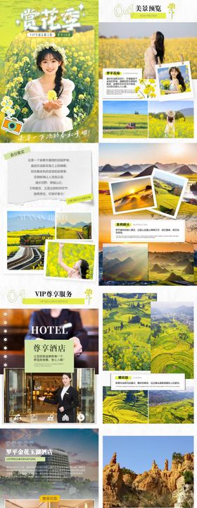 VIP定制赏花季罗平3日游竖版PPT