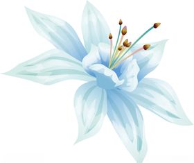 手绘水彩百合花