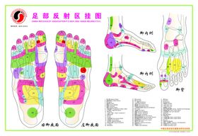 医疗海报展架展板整容整形体检保险画册