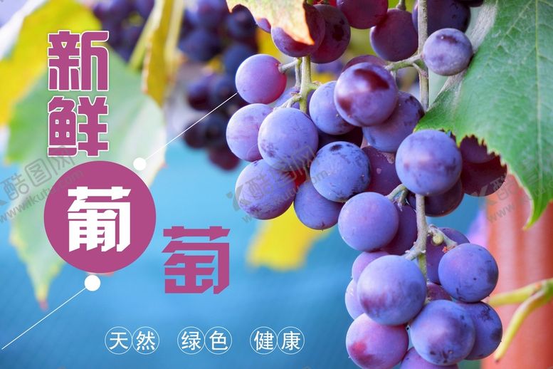 编号：24485510172055202012【酷图网】源文件下载-葡萄