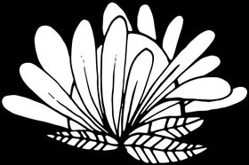 秘密花园圈涂色未上色