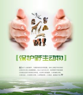 保护动物