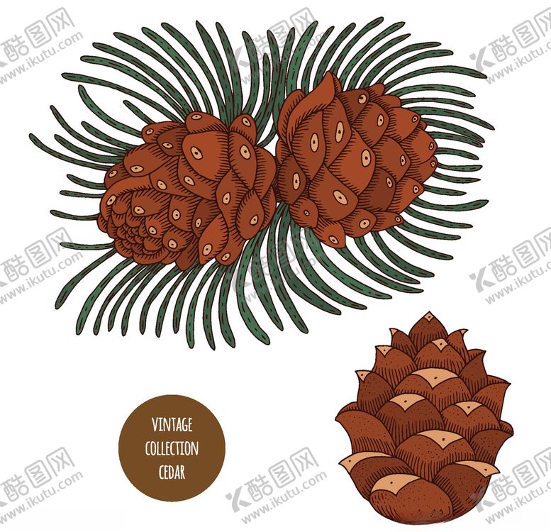 编号：19330409141224497362【酷图网】源文件下载-植物线稿