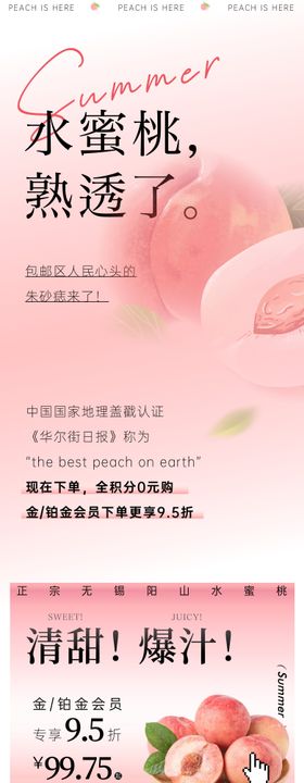 学校教育介绍长图