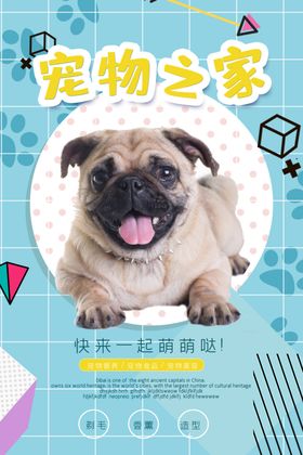 宠物之家