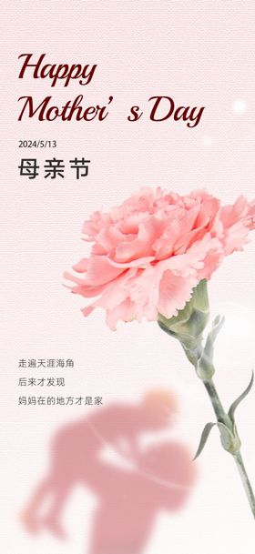 母亲节海报康乃馨公历日小清新