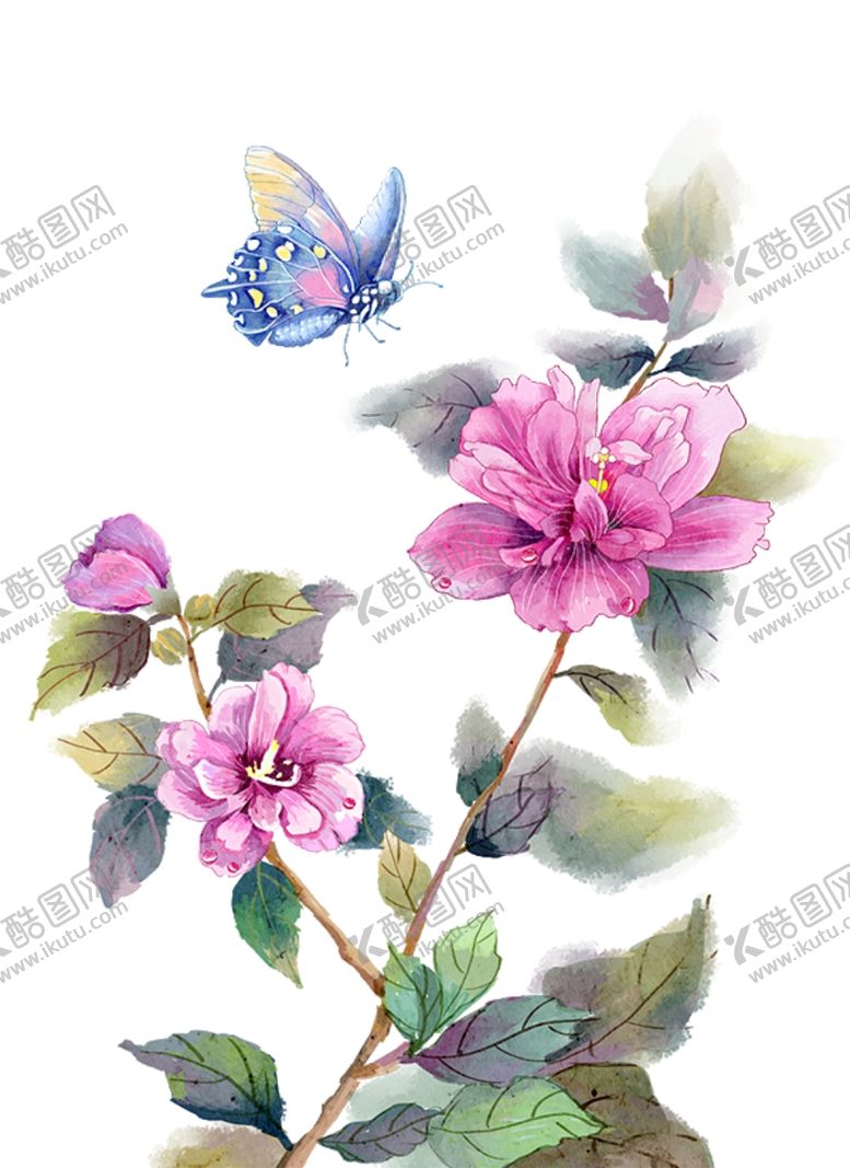 编号：52689904190918598405【酷图网】源文件下载-水彩鲜花蝴蝶