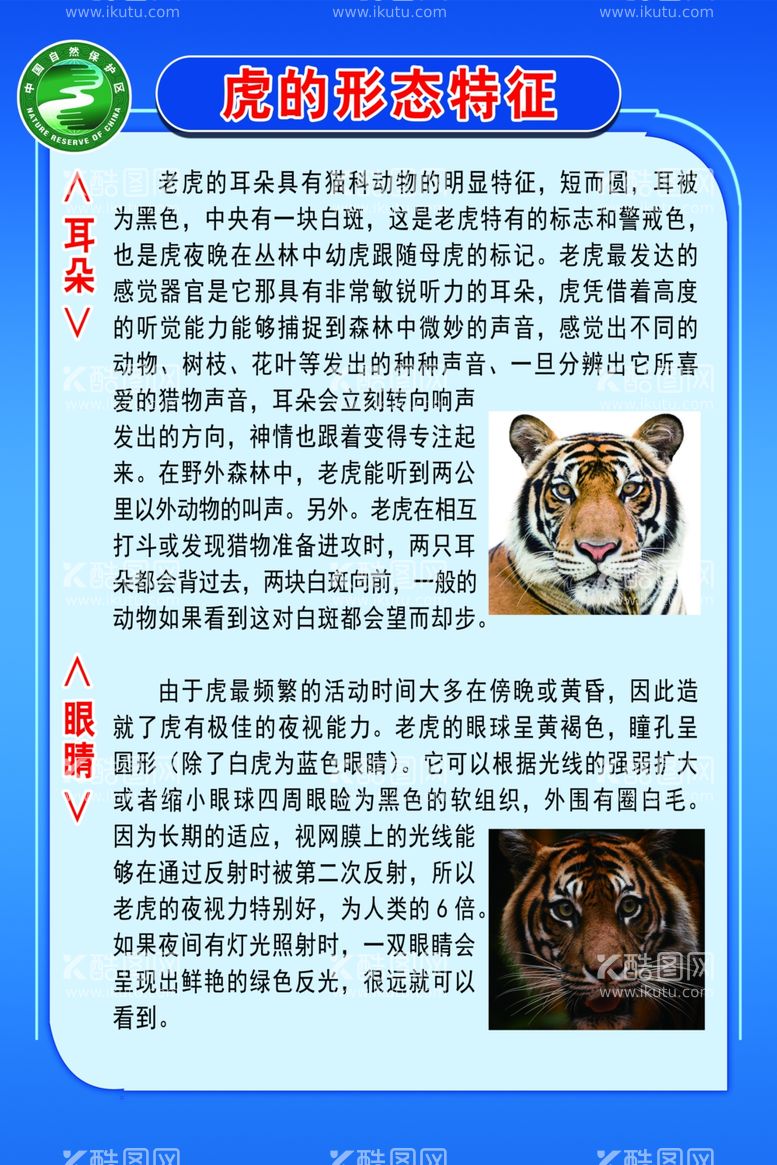 编号：12423903220339204716【酷图网】源文件下载-虎的形态特征