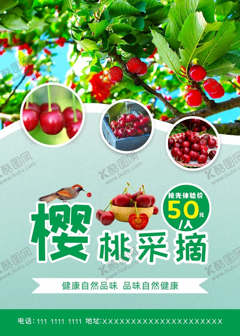 编号：79409212061229407711【酷图网】源文件下载-樱桃采摘海报