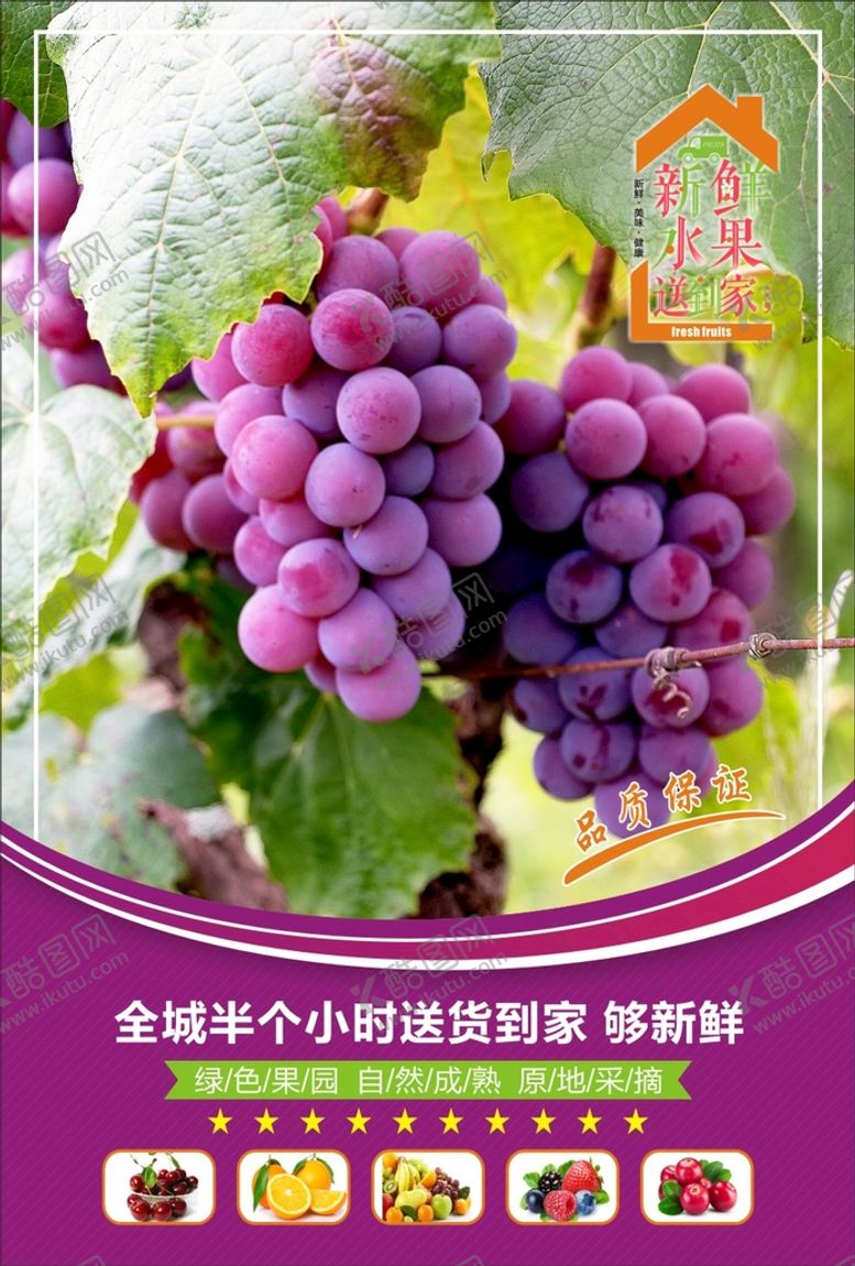 编号：98079910181808501935【酷图网】源文件下载-葡萄