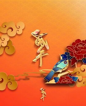 新年喜庆图案包装